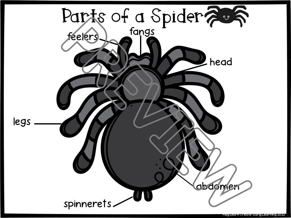 Spider Lesson and Activities for Preschool, PreK and Kindergarten