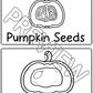 Pumpkin Life Cycle Lesson and Activities for Preschool, PreK and Kindergarten