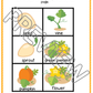 Pumpkin Life Cycle Lesson and Activities for Preschool, PreK and Kindergarten