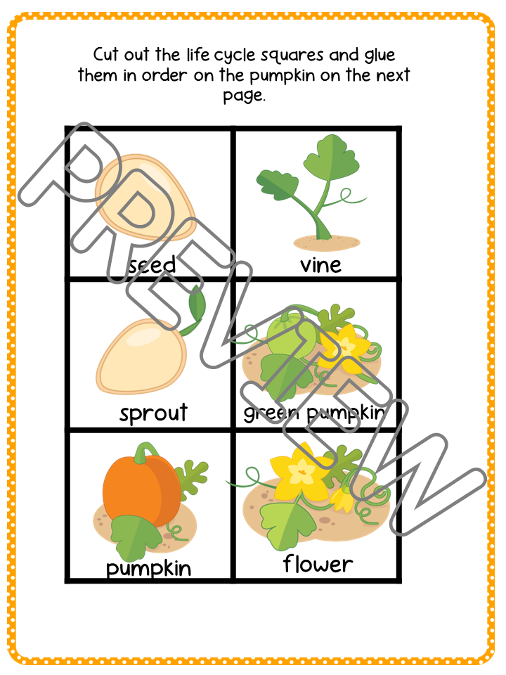 Pumpkin Life Cycle Lesson and Activities for Preschool, PreK and Kindergarten