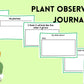 Plant Cycle Lesson and Activities for Preschool, PreK and Kindergarten