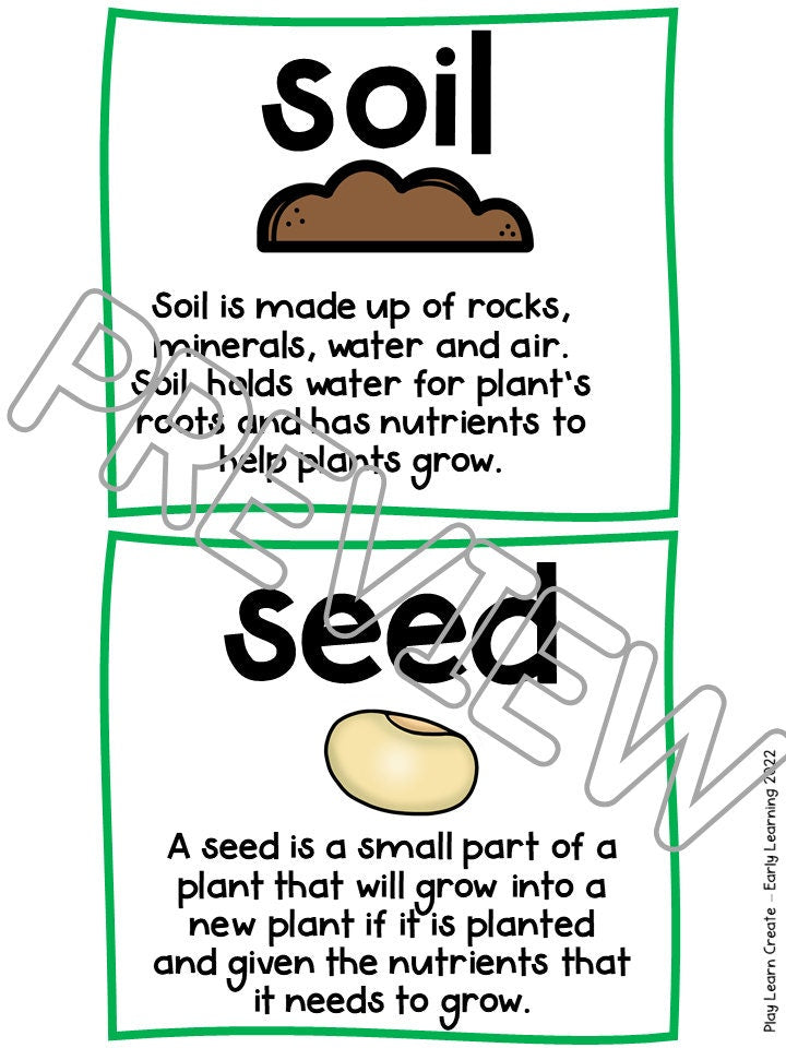 Plant Cycle Lesson and Activities for Preschool, PreK and Kindergarten