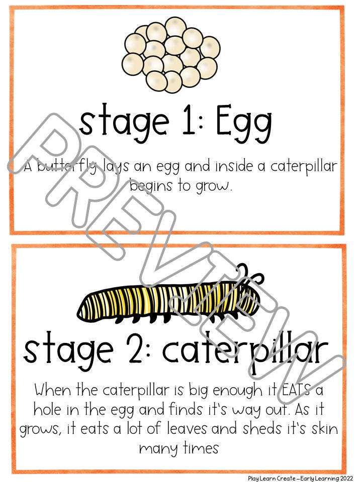 butterfly-life-cycle-lesson-and-journal-for-preschool-prek-and-kinder-play-learn-create-early-learning for Free Printable Butterfly Observation Journal Butterfly Life Cycle Lesson and Journal for Preschool, PreK and Kinder – Play Learn Create - Early Learning for Free Printable Butterfly Observation Journal