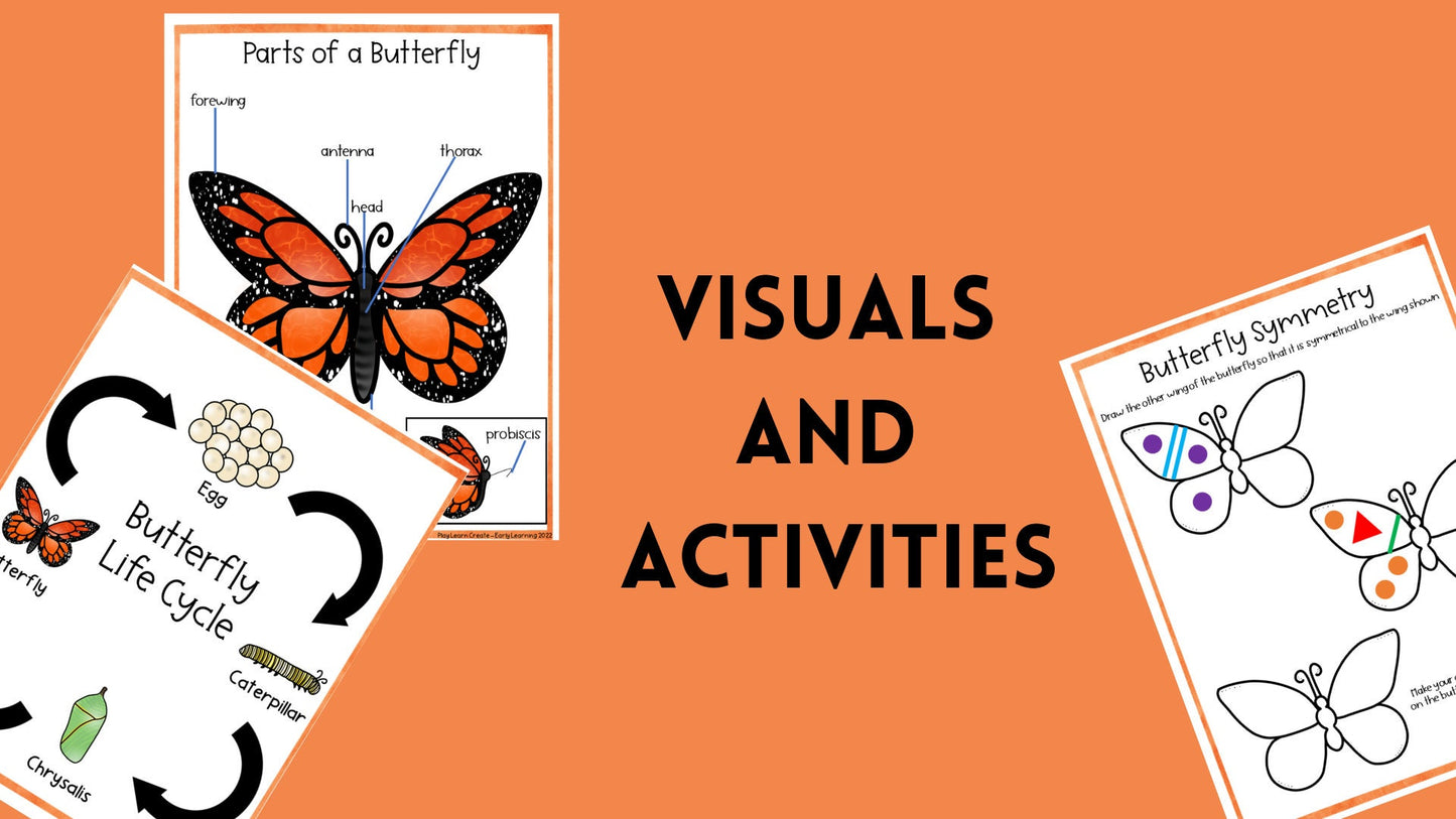 Butterfly Life Cycle Lesson and Journal for Preschool, PreK and Kindergarten