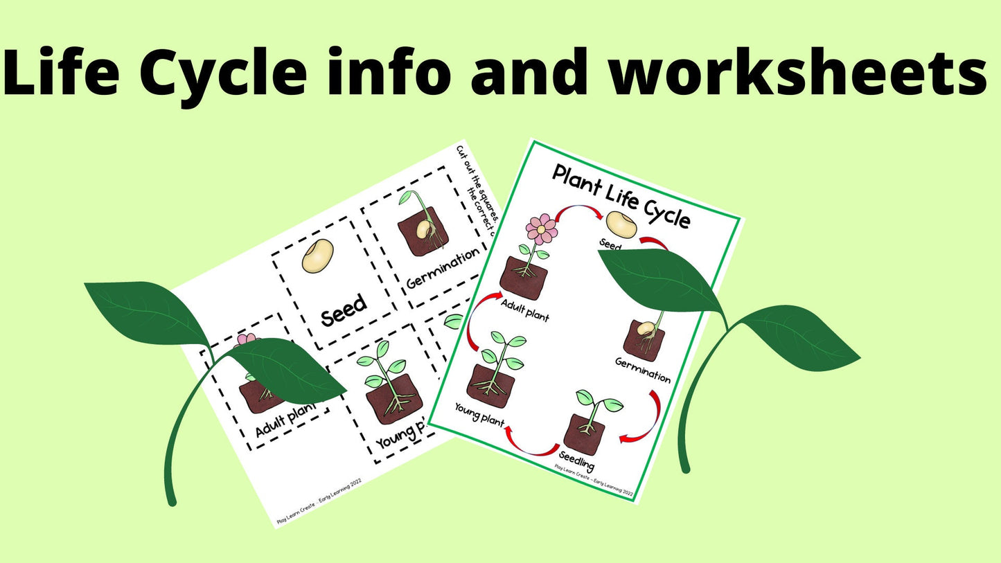 Plant Cycle Lesson and Activities for Preschool, PreK and Kindergarten