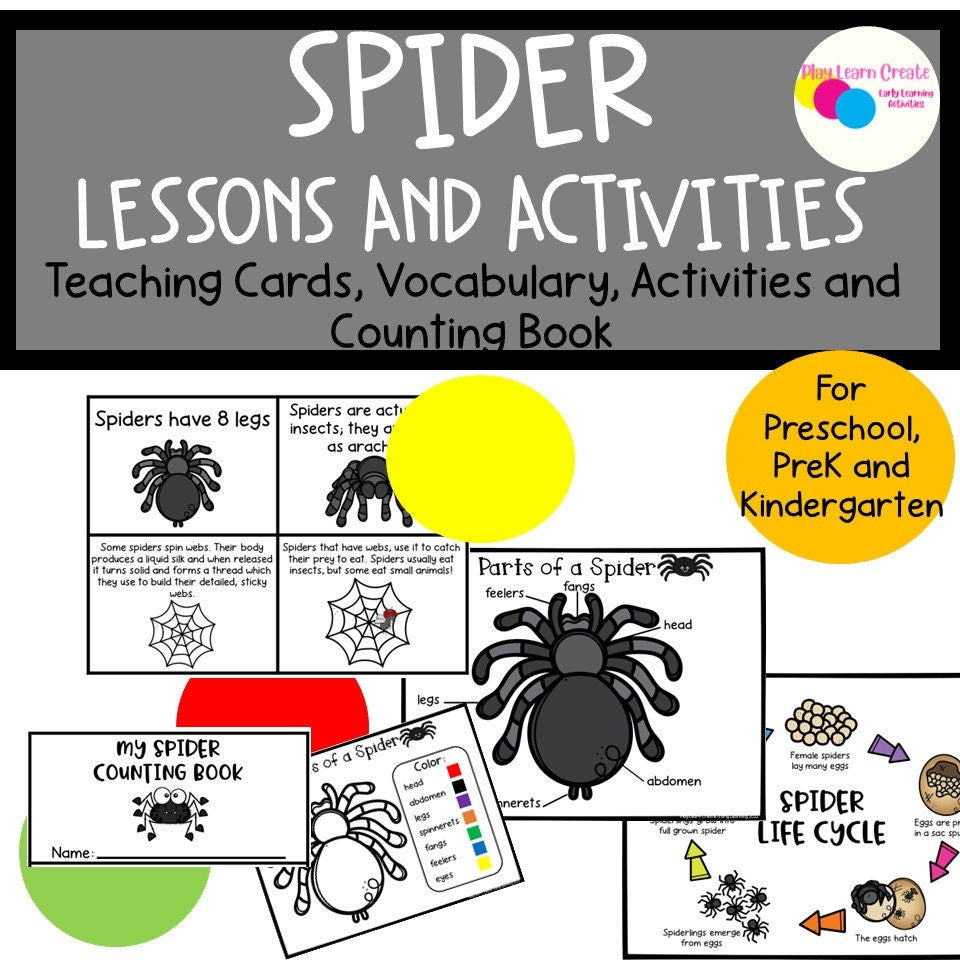 Spider Lesson Spider Lesson and Activities for Preschool, PreK and Kindergarten ...